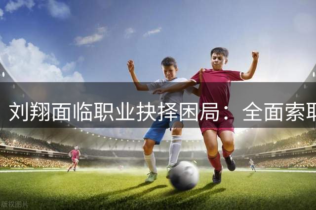 刘翔面临职业抉择困局："全面索取"与理性取舍的思考